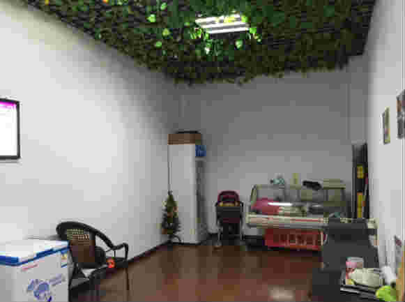 ������������ת �ѳɽ� ת�����ڣ�1��12��