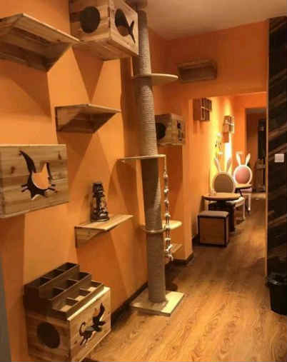 �ϴ�ֿ��ȵ�ͼۼ�ת  ���ɽ� �ɽ����ڣ�27��