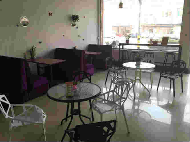 �±���ѧ���̲��ת��   �ѳɽ� 