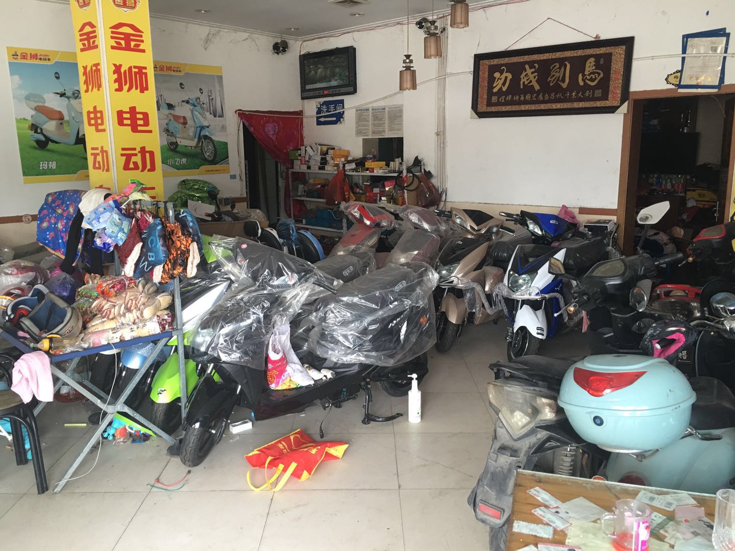 ���ң�۽�ʨ�綯������ת��  �ѳɽ�