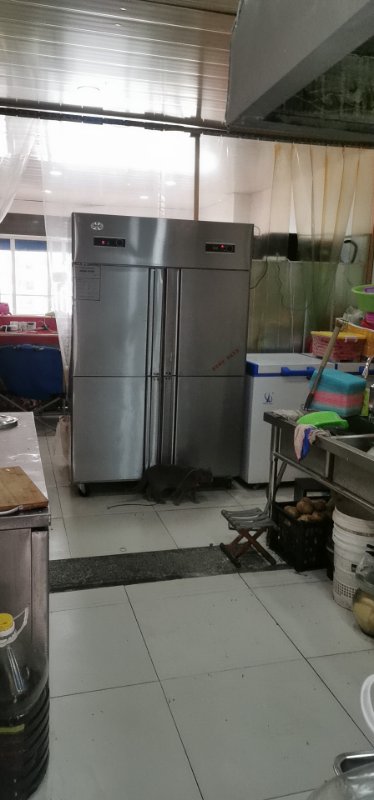 �����⻪·С�Ե�ת��