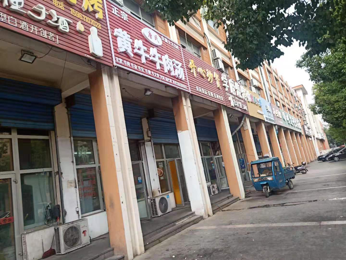 �����ѧ��ӯ���͹�ת��  �ѳɽ�